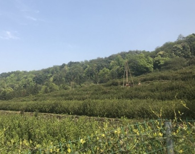 �㽭������ó���޹�˾