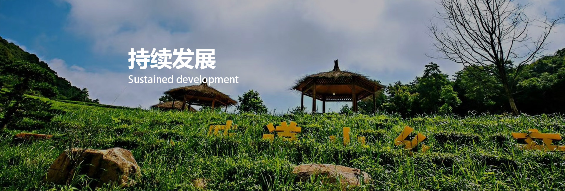 ̸��ɡ�(�й�)-�ٷ���վ