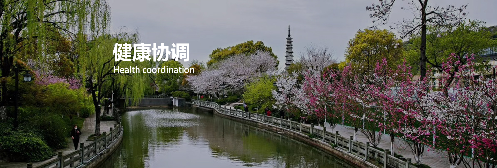 ̸��ɡ�(�й�)-�ٷ���վ